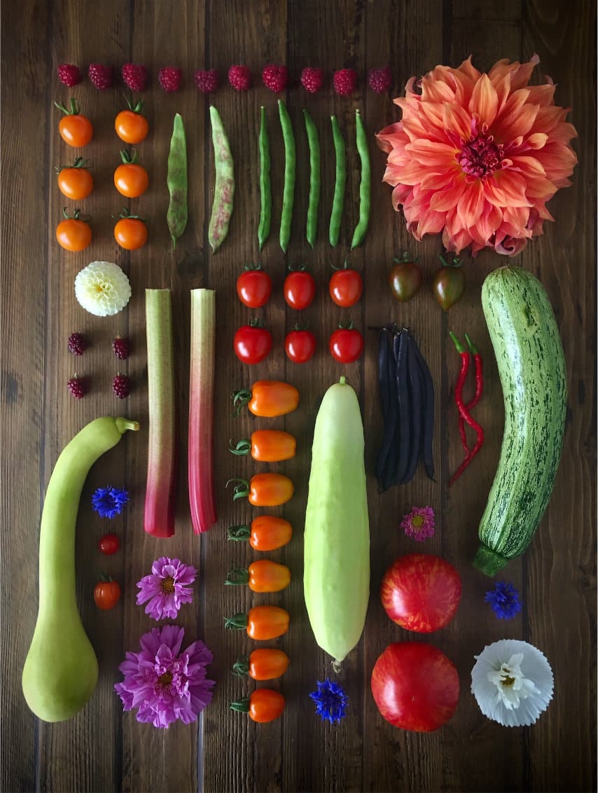 Fruit and vegetables